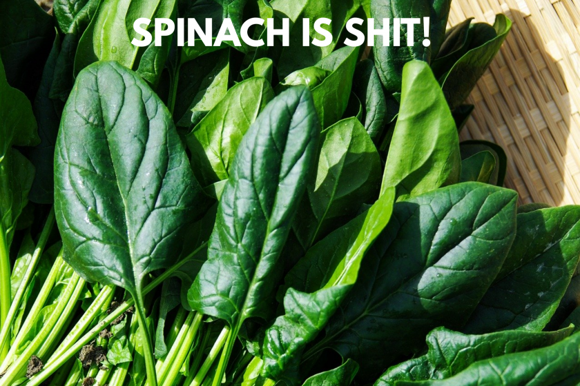 Spinach is Shit!